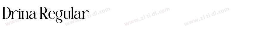 Drina Regular字体转换
